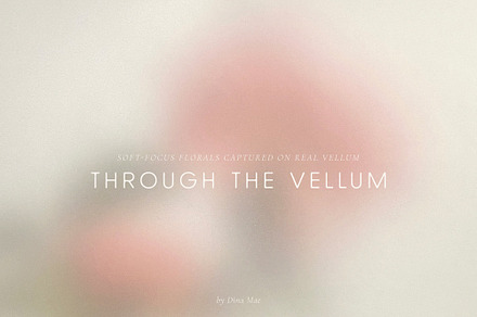 Through the Vellum - Backgrounds