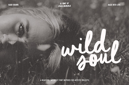 Script Brush Font Duo Wild Soul