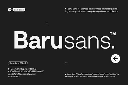 Baru Sans Geometric Font Family